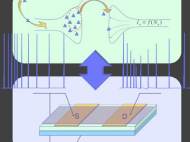 NOMFET (Nanoparticle Organic Memory Field Effect Transistor) - mimics the behavior of a biological spiking synapse