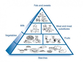 food-pyramid