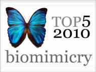 top-5-2010-biomimicry-articles-robaid