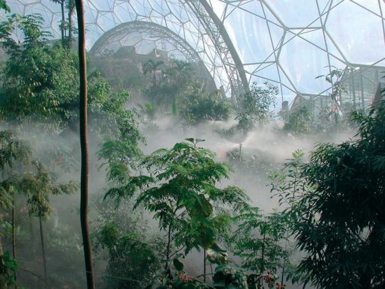 eden_project1