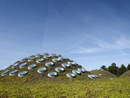 california-academy-of-sciences-living-roof