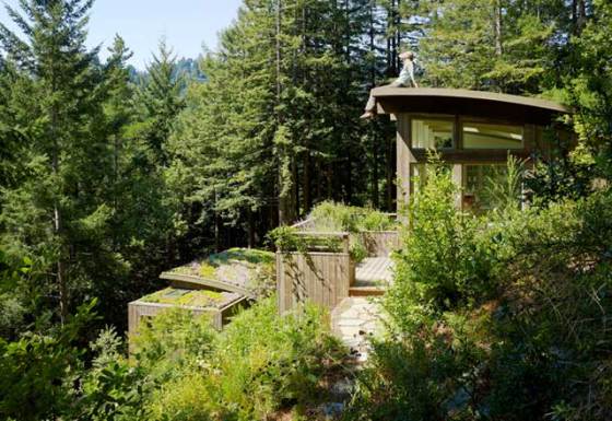 mill-valley-cabins-7