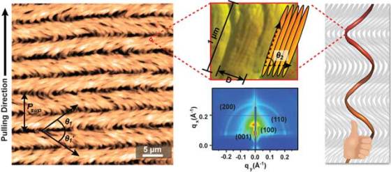 biomimetic-self-templating-supramolecular-structures-3