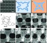yang-advanced-functional-materials-microfabrication
