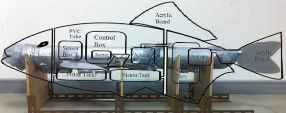 3d-robotic-fish-structure-diagram