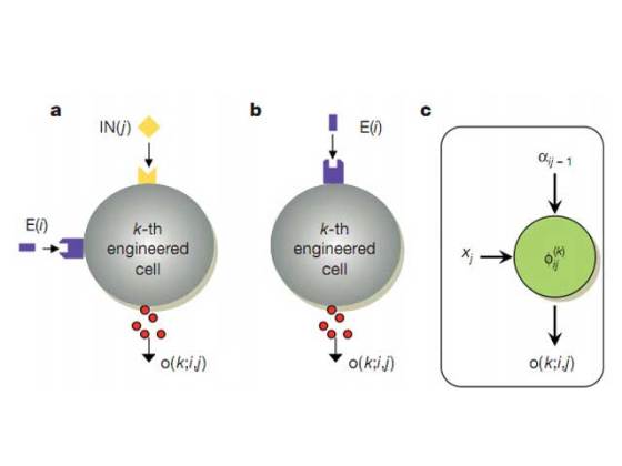 biological-logic-gates