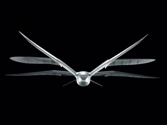 festo-smartbird-2