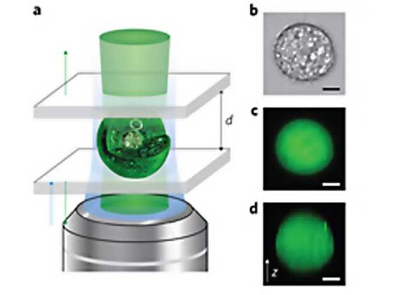 gfp-cell-laser