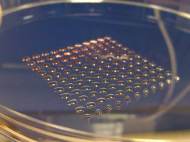 3d-printing-with-embryonic-stem-cells-1