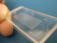 glowing-bacteria-microfluidic-chip