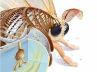 moth-biomimicry-nanopore