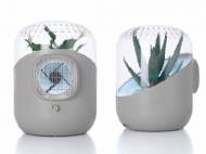 andrea-plant-air-purifier