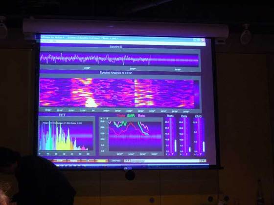 eeg-visualized