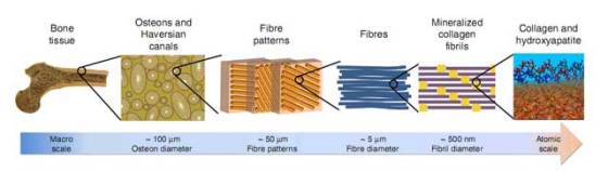 mit-3d-printed-bone