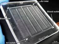 air-artificial-lung