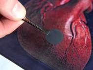 heart-nanoscaffold-closeup