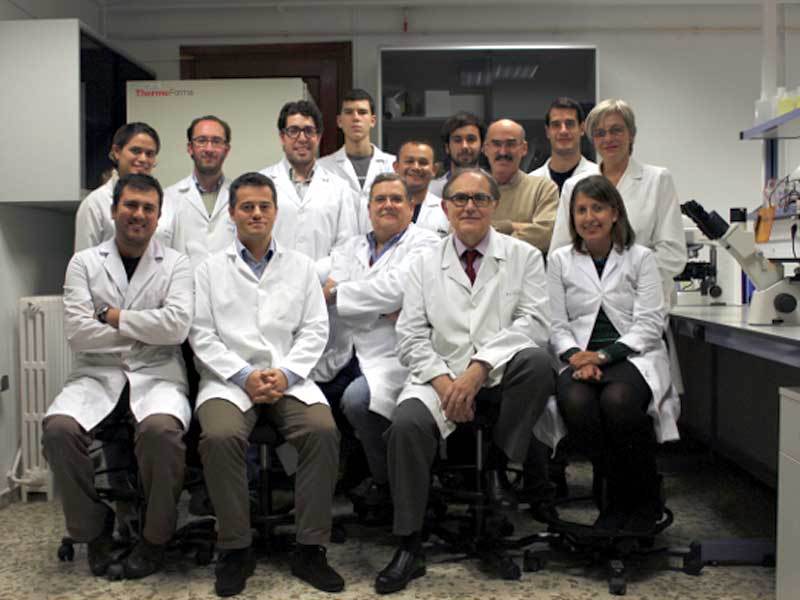 granada-stem-cell-skin-team