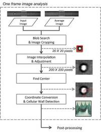 ucsd-cytometry-3