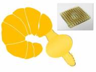 adhesive-microneedle-1