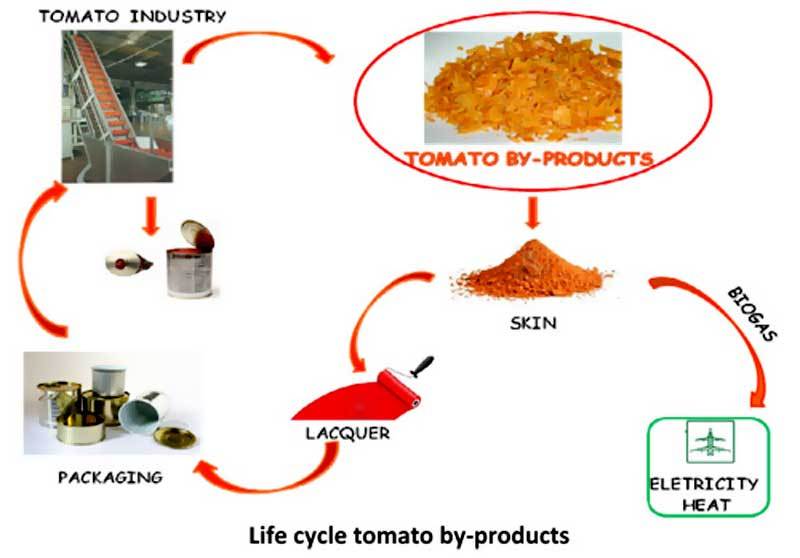 biocopac-tomato-skin-lacquer