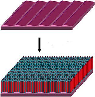 chip10terabitdense.jpg