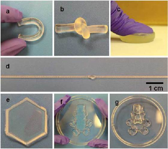 hydrogel-double-network-2