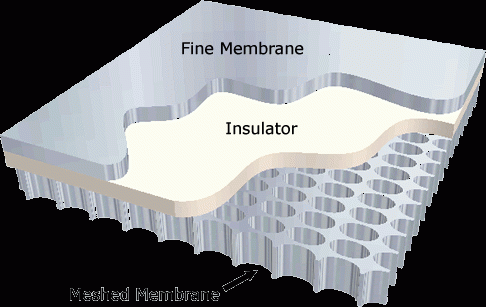 membrane.gif