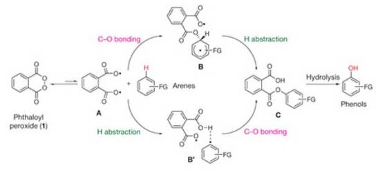 nature-phthaloyl-peroxide-phenols