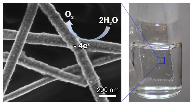 copper-nanowire-catalyst-3