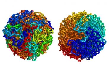 3d-human-genome