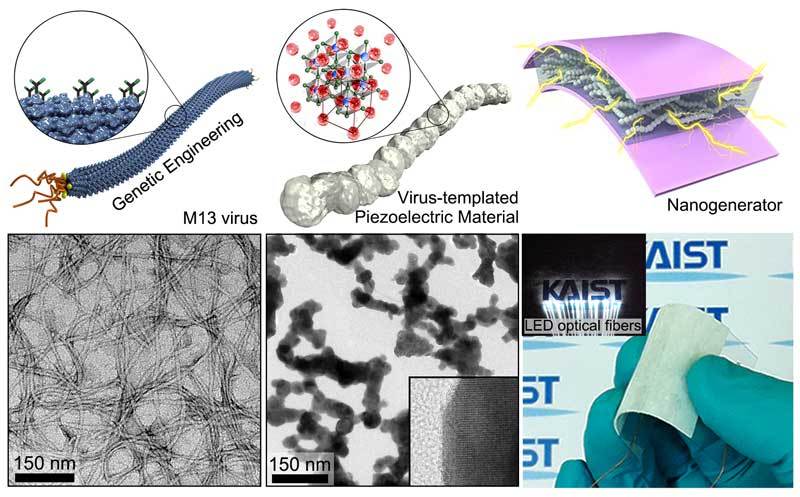 kaist-virus-nanogenerator-2