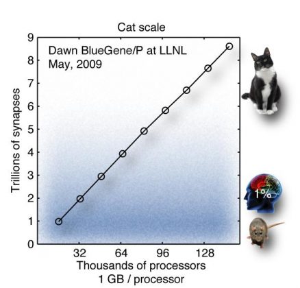 ibm-research-cognitive-computing-cat-scale
