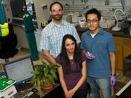 mit-self-repairing-solar-cell-team