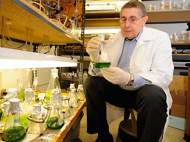 spalding-algae-biofuel