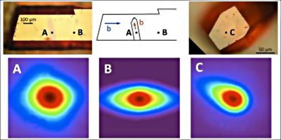 biaggio-excitons-research-2