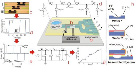 fernpower2