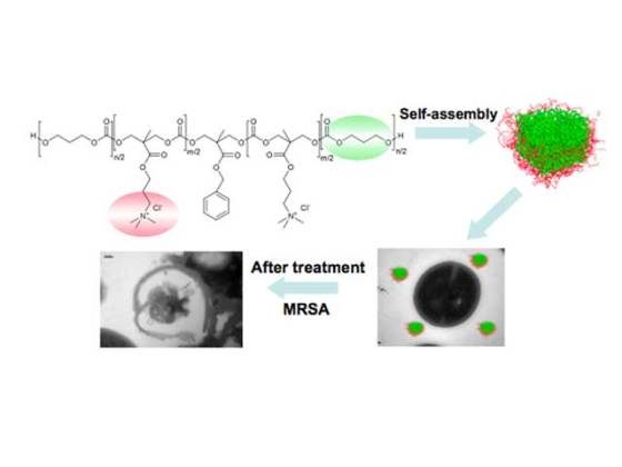 ibm-self-assembly-and-treatment