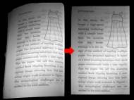 book-flipping-scanning