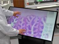 fimm-multitouch-webmicrosope