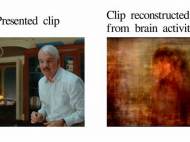 nishimoto-etal-2011-reconstruction-sample