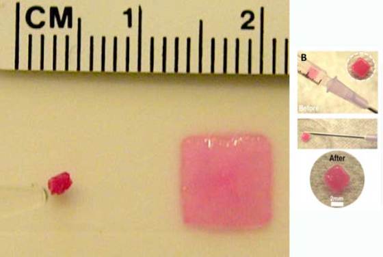 seas-injectable-sponge-2