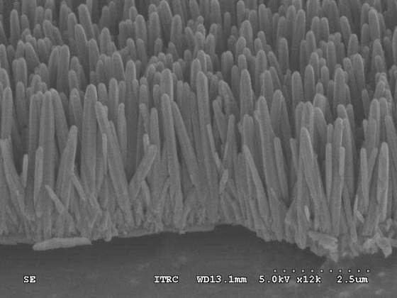 zno-nanorods-cross-section