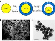 battery-sulfer-cathode-yolk-1