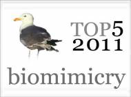 top-5-2011-biomimicry-robaid