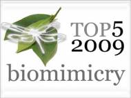 top-5-articles-regarding-biomimicry-robaid